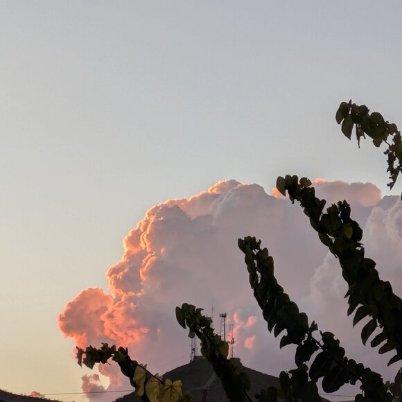 Meet your Posher, Ingrid - Picture 1 of 1